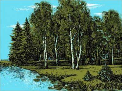 Ковер Родные просторы 0001 03