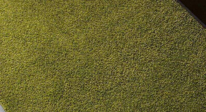 Ковер LANA T600 GREEN 2 Овал