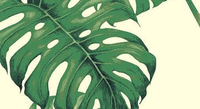 Ковер с цветами SCANDINAVIAN MONSTERA 2